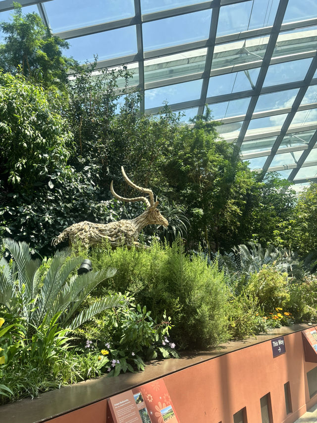 Gardens by the Bay - Singapore