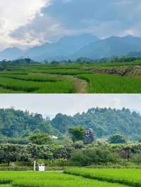 峨眉高橋里：文藝青年的心靈棲息地