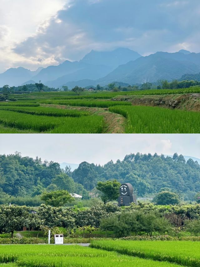 峨眉高橋里：文藝青年的心靈棲息地