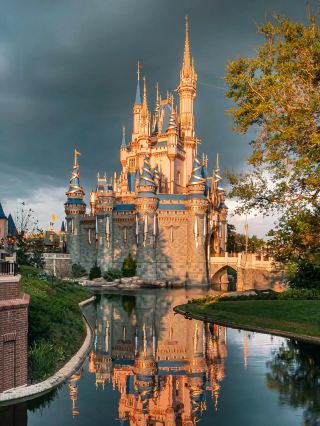 7-Day Florida Travel Guide | Orlando & Miami Highlights Collection!