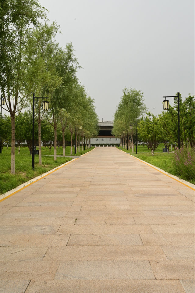一畝園公園重開
