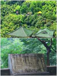 啱啱從莫干山返嚟，真係唔建議7月份嚟