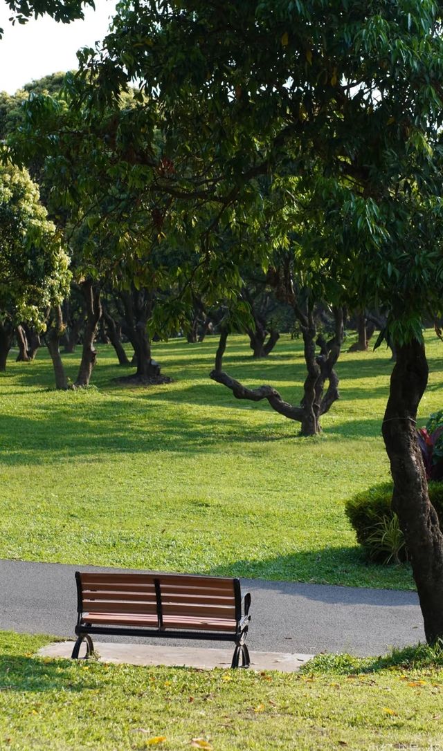 廈門集美學村漫遊指南 | 住錦江之星，邂逅夏日美好   想逃離城市喧囂，來一場輕鬆愜意的短途遊？