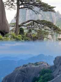 8月唔好唔聽勸就去黃山！你只有親身體會先知道……