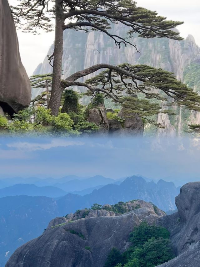 8月唔好唔聽勸就去黃山！你只有親身體會先知道……