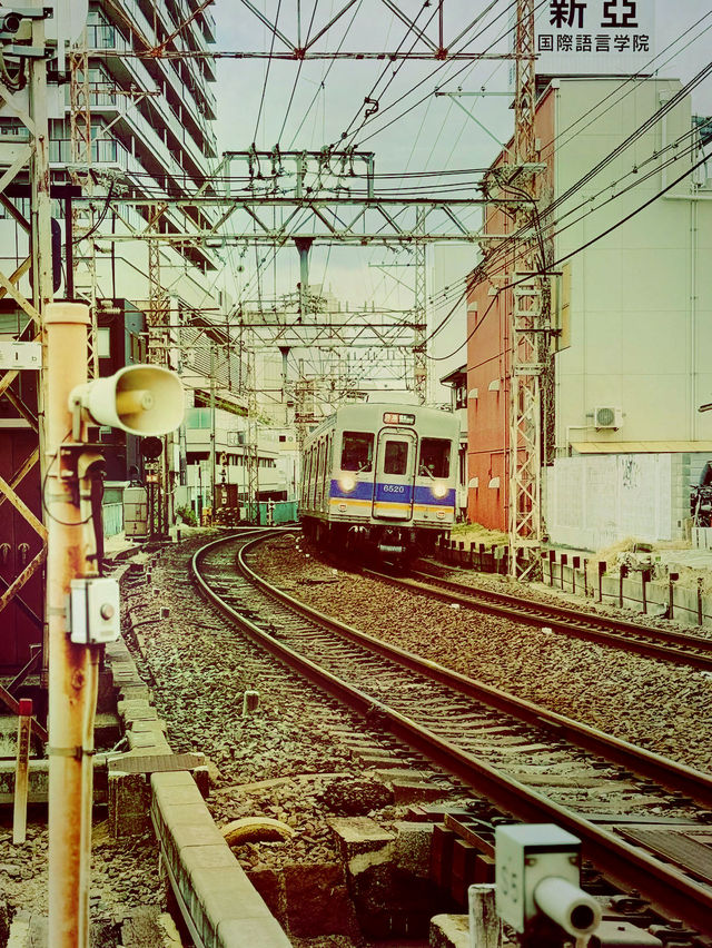 大阪近郊隱世桃源！堺市一日漫遊體驗記】**  