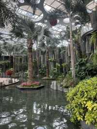 Discover the Beauty of Shanghai Greenhouse Garden! 🌼