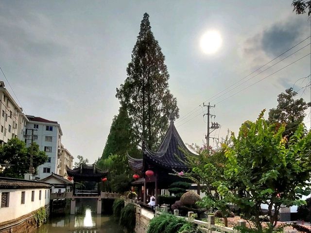 📸《一口小籠，一場穿越：我的南翔古鎮迷走筆記》