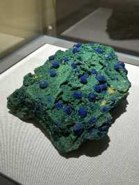 The Geological Museum of China! 