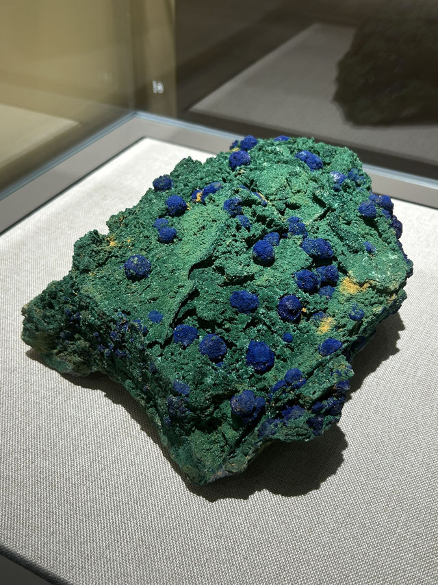 The Geological Museum of China! 