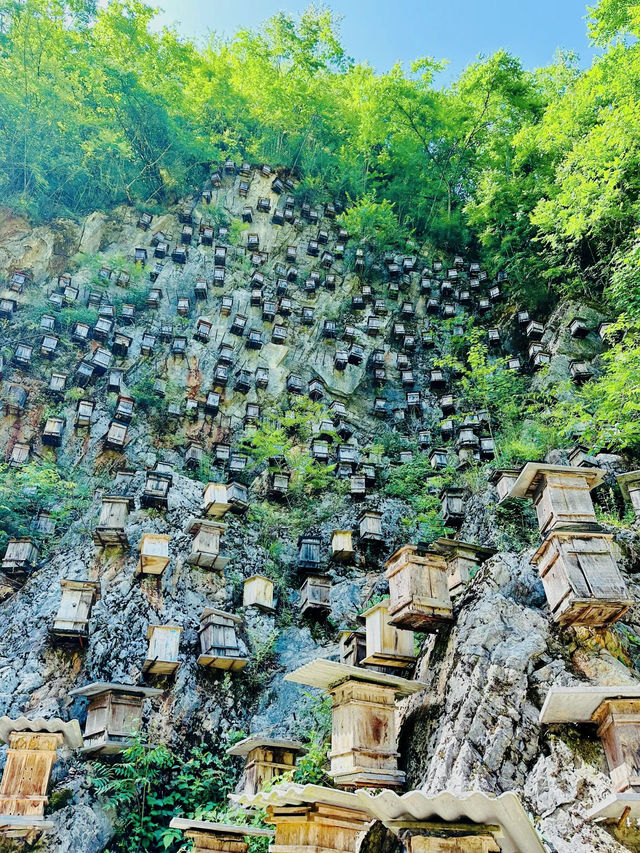 逃離40℃！神農架→巫山自駕路線詳解