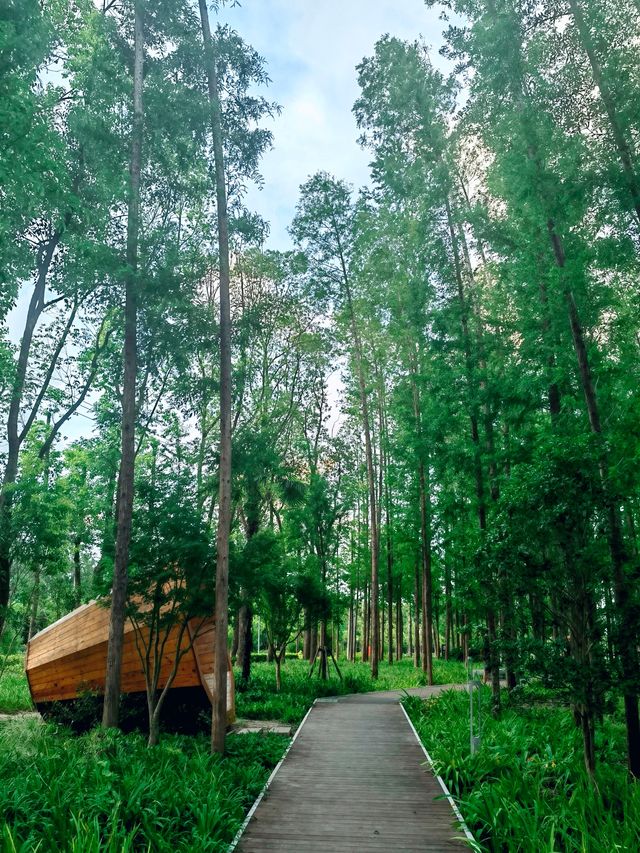 夏日秘境 | 上海浦東秀南公園