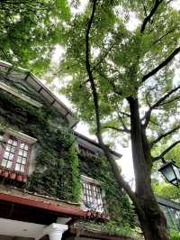 ✨《倘若時光有一道門，我想住進多倫多》