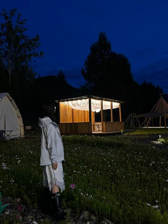 拾菌尋野趣住新都橋森系秘境