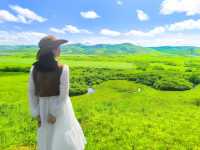 鋪向天際的綠野詩篇 邂逅北疆最溫柔的夏天