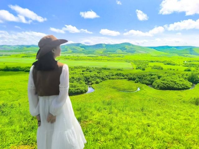 鋪向天際的綠野詩篇 邂逅北疆最溫柔的夏天