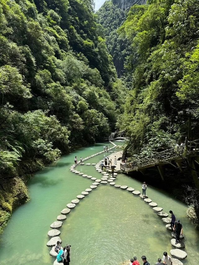 珠海出發！恩施22℃避暑仙境，帶娃解鎖小眾玩法
