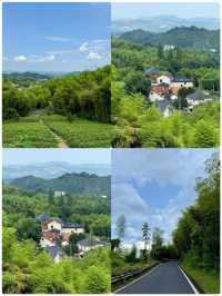 莫干山好正，但8月就唔建議去喇
