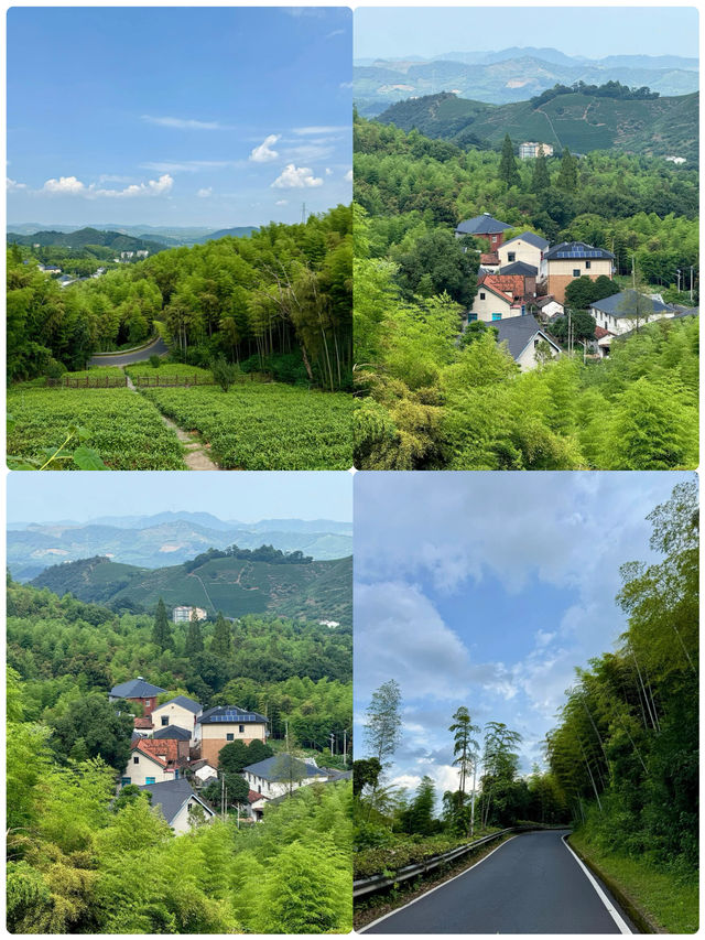 莫干山好正，但8月就唔建議去喇