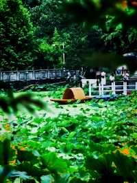 藏喺重慶九龍坡嘅心靈淨土華岩寺