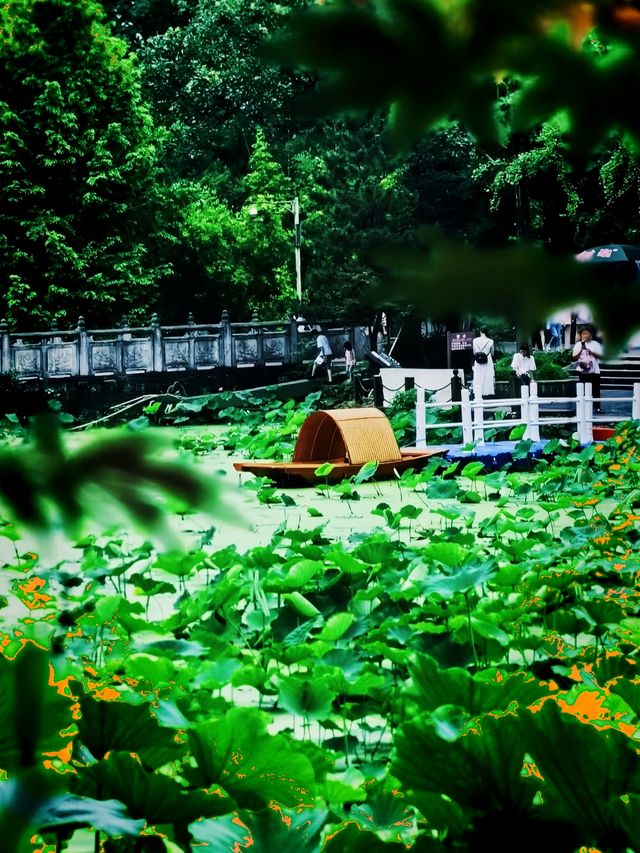 藏喺重慶九龍坡嘅心靈淨土華岩寺