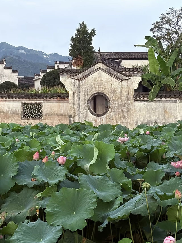 徽州|水墨徽州的千年慢時光!闖入徽派建築 徽州|水墨徽州的千年慢時光!闖入徽派建築