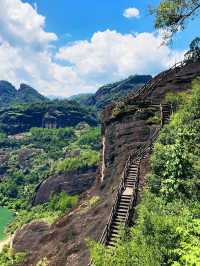 武夷山：被3.4億人圍觀的仙境，每一幀都美到窒息！