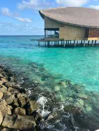 Wonderful Stay at Hilton Amingiri