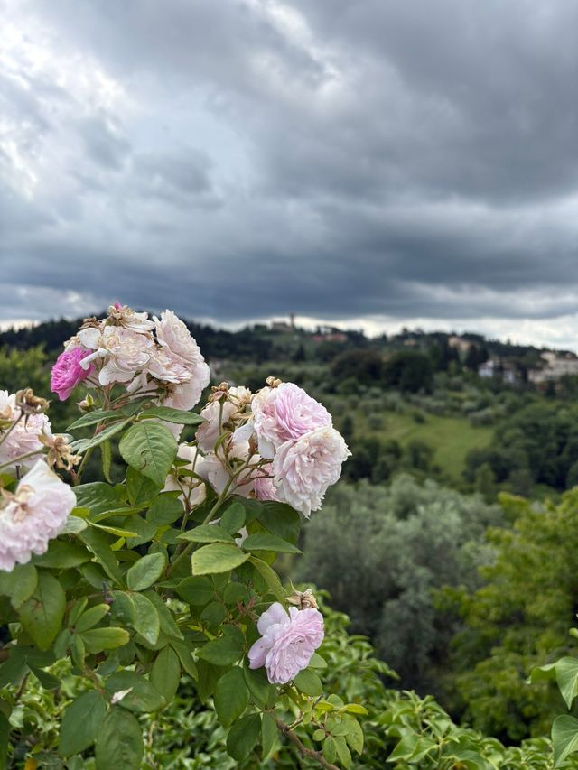 A Morning in the Beautiful Boboli Gardens A Morning in the Beautiful Boboli Gardens