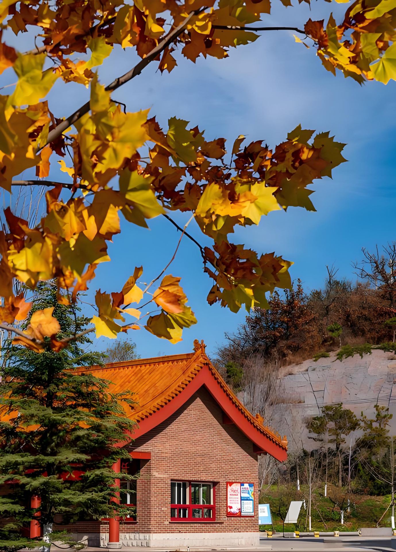 6-Day Tour of Dalian, Dandong, and Shenyang