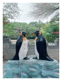 漯河神州鳥園秋季夜遊:暢遊鳥類王國，體驗夜間奇幻之旅！