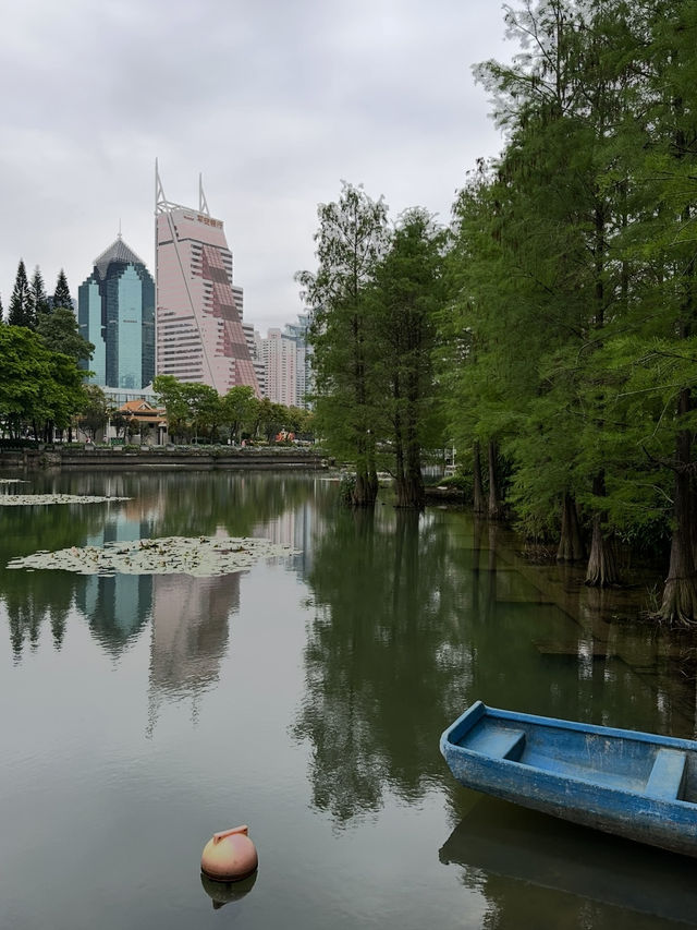 Lychee Park Shenzhen