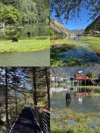 川西｜在四姑娘山住進秋天裡