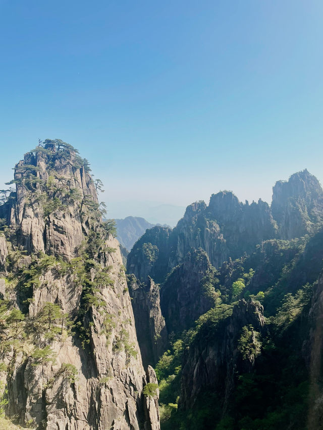 Scenic Peak Views of Huangshan ⛰️  