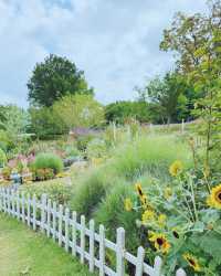 童話裡的小屋，上海植物園秋日兔子派對