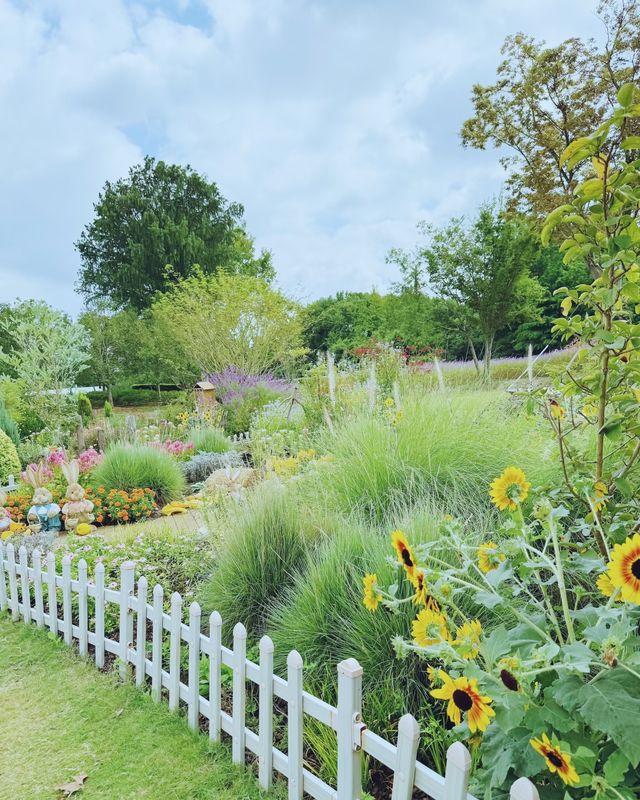 童話裡的小屋，上海植物園秋日兔子派對