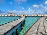 Incredible Holiday at Cinnamon
