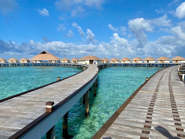 Incredible Holiday at Cinnamon