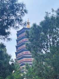 雲南曲靖金秋必打卡藏在山水間的文化寶藏
