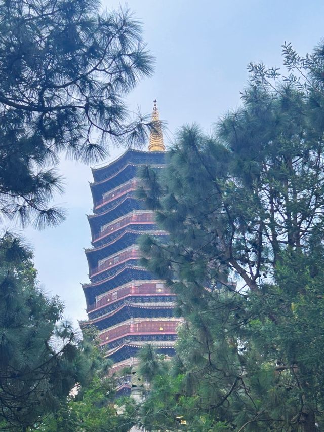 雲南曲靖金秋必打卡藏在山水間的文化寶藏