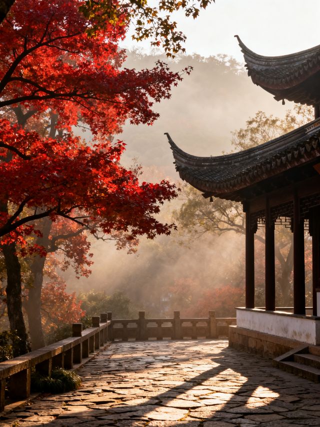 層林染墨，山河入畫｜2025中式秋日追秋全攻略