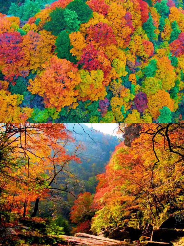 漢中黎坪景區紅葉觀賞攻略