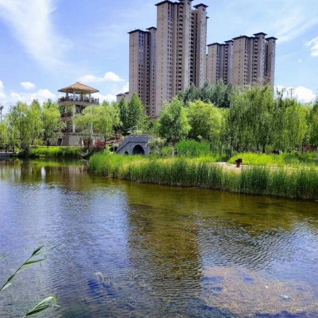 西寧市旅遊攻略