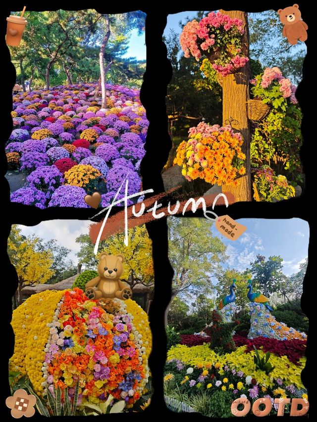 國慶後錯峰指南｜開封菊花展全攻略