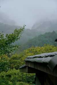青城山私藏侘寂風民宿｜躲進山凹凹裡聽霧看林