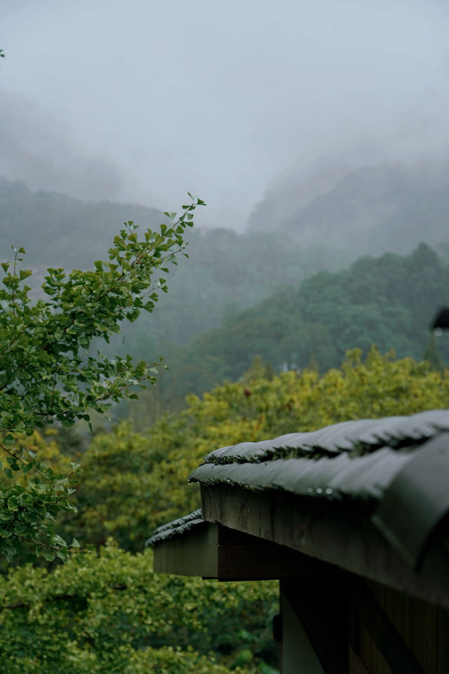 青城山私藏侘寂風民宿｜躲進山凹凹裡聽霧看林
