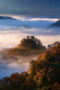 救命光霧山的秋天真的美哭我了