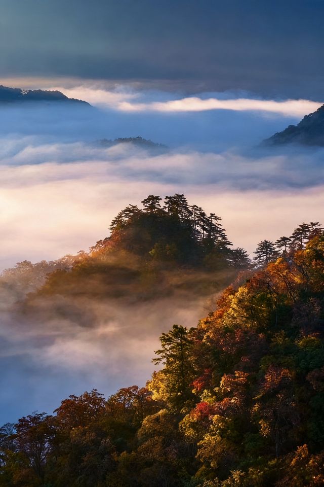 救命光霧山的秋天真的美哭我了