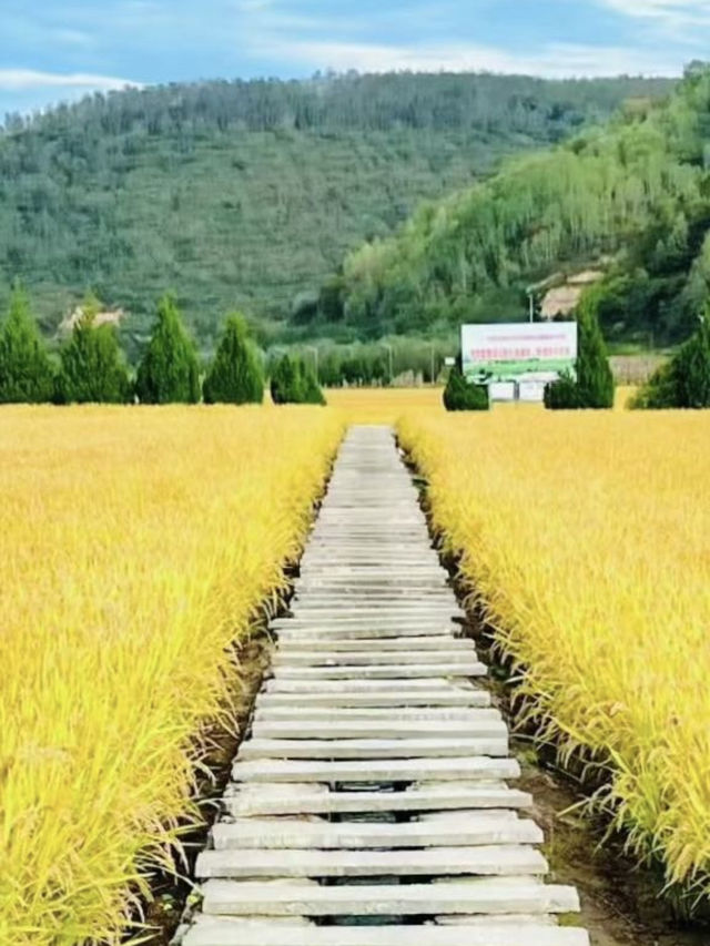 秋浸南泥灣丨墜入色彩斑斕的油畫世界