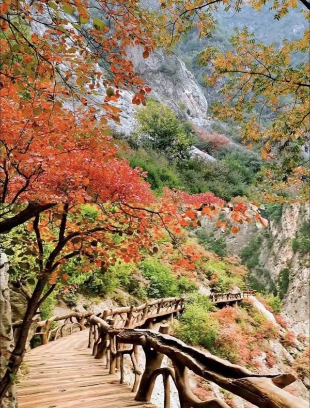 西安周邊秋遊爆衝！鄭國渠秋日限定美景！